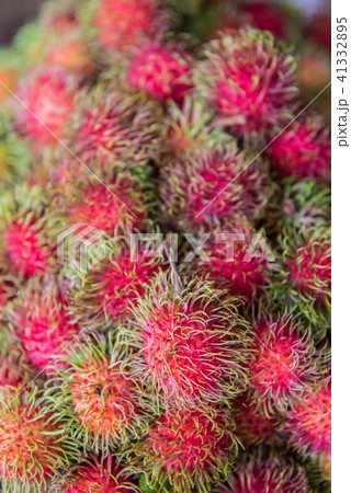 rambutan, Negrito, Semang, sweet Thai fruit rambutan, Negrito, Semang, sweet Thai fruit 41332895