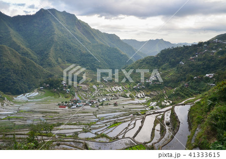 バタッド 41333615