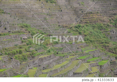 バタッドの棚田 41333633