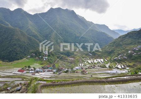 バタッド 41333635