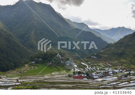 バタッド 41333640