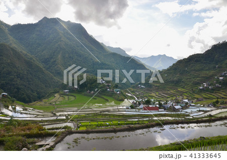 バタッド 41333645