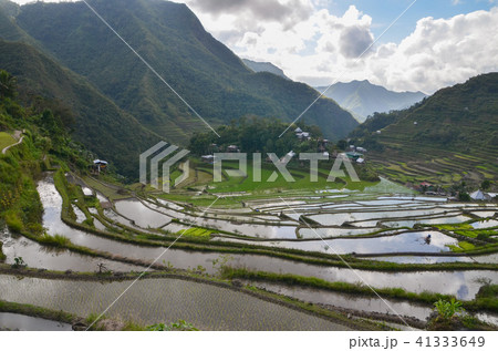 バタッド 41333649