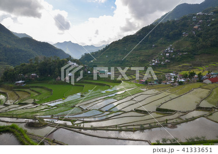 バタッド 41333651