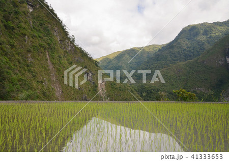 バタッド 41333653