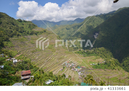 バタッド 41333661