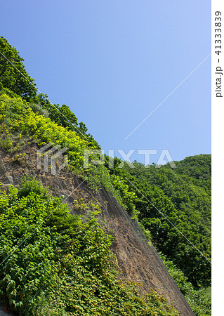 落石防護網 41333839