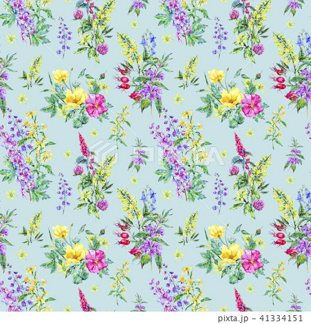 Watercolor summer seamless pattern of medicinal flowers  41334151