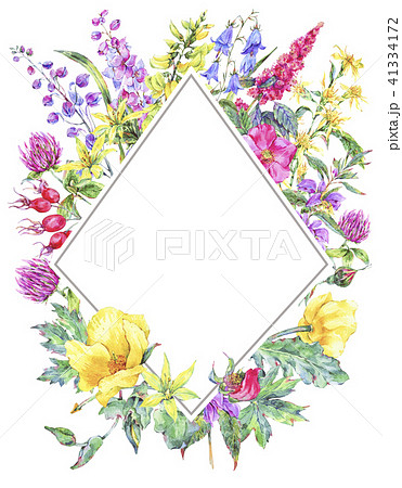 Watercolor summer medicinal floral vertical frame, Wildflowers plant 41334172