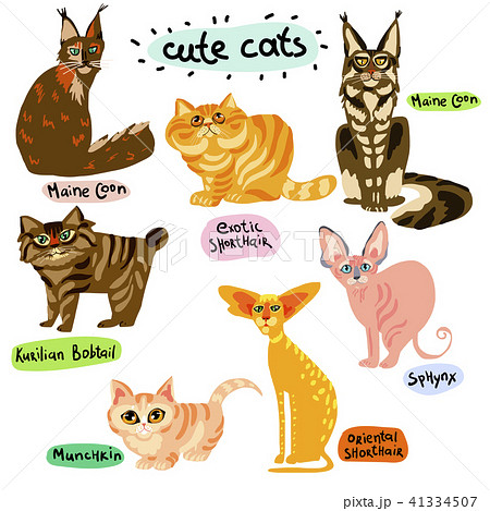 Set Of Cartoon Cats Charactersのイラスト素材