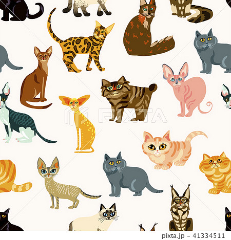 Cartoon Cats Seamless Pattern Illustration のイラスト素材