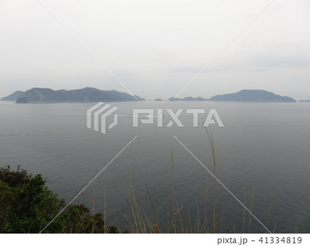 八幡浜大島 八幡浜市 41334819