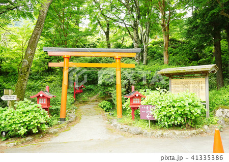 山王神社 箱根七福神 山王神社 箱根七福神 41335386