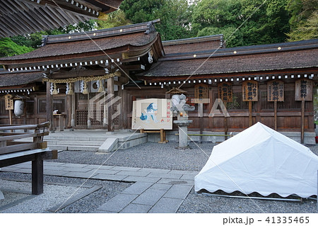 京都亀岡 出雲大神宮-13 41335465