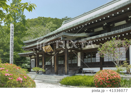 龍寶寺本堂(鎌倉市植木) 龍寶寺本堂(鎌倉市植木) 41336077