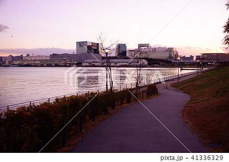 水の広場公園 青海 有明埠頭 東京港 水の広場公園 青海 有明埠頭 東京港 41336329
