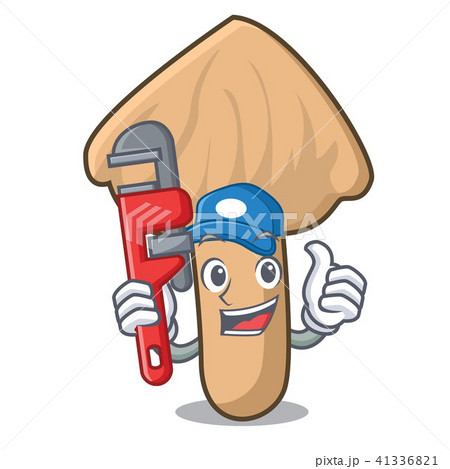 Plumber inocybe mushroom mascot cartoon 41336821