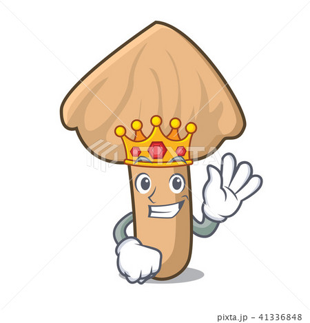 King inocybe mushroom mascot cartoon King inocybe mushroom mascot cartoon 41336848