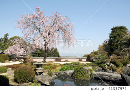 正法寺　庭園 41337975