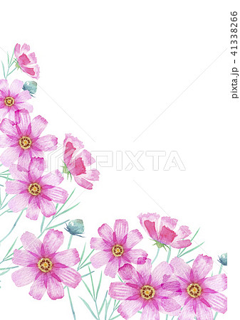 코스모스, 가을, 꽃잎 - 스톡일러스트 [41338266] - Pixta