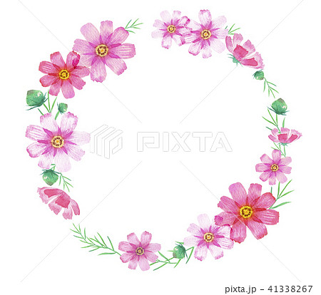 코스모스, 가을, 꽃 - 스톡일러스트 [41338267] - Pixta