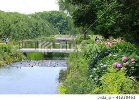 万博記念公園ー自然文化園内の川沿いでゆったりと。 万博記念公園ー自然文化園内の川沿いでゆったりと。 41338463