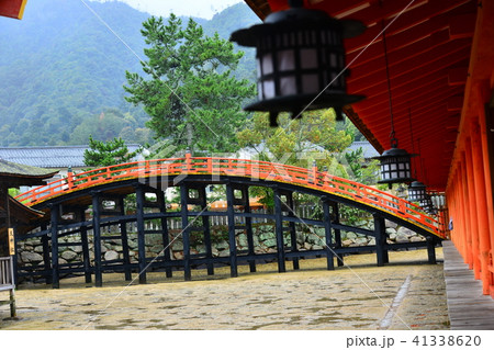 厳島神社　散歩 41338620
