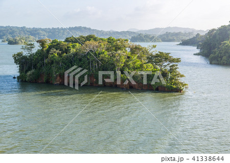 Small island with jungle of the Panama Canal. 41338644