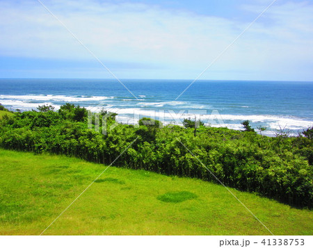 鹿島灘海浜公園 鹿島灘海浜公園 41338753