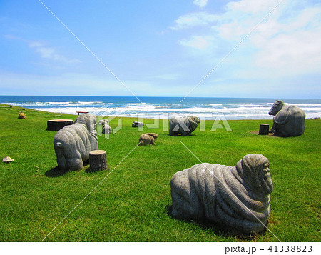 鹿島灘海浜公園 41338823