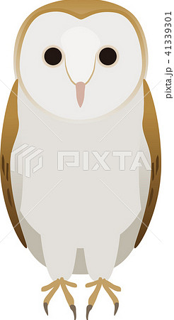 メンフクロウのイラスト素材 41339301 Pixta