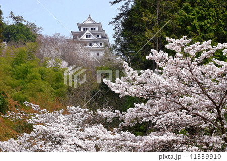 郡上八幡城の写真素材