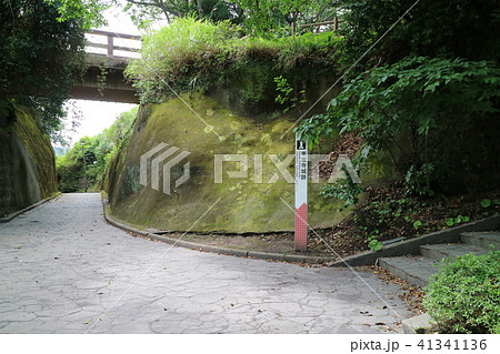 東福寺城跡（多賀山公園内） 41341136