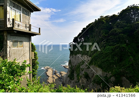 江の島の地磯 江の島の地磯 41341566