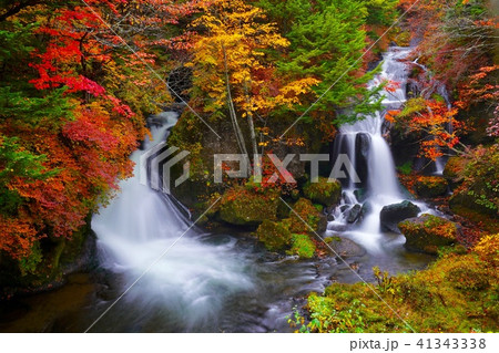日光の紅葉 観光地 竜頭ノ滝 41343338