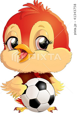 beautiful cute bird 41343758