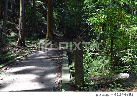 高取城への道（２） 41344892