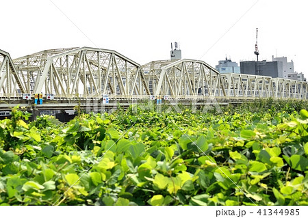 荒川河川敷 荒川橋梁を走る日比谷線 41344985