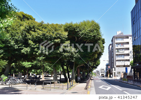世田谷若林公園前の風景 世田谷若林公園前の風景 41345247