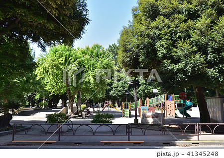 世田谷若林公園の風景 41345248