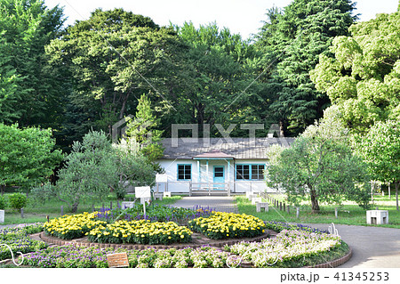 代々木公園旧ワシントンハイツ宿舎 41345253