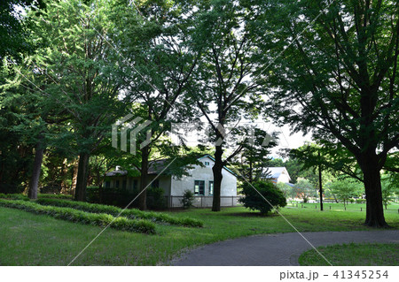 代々木公園旧ワシントンハイツ宿舎 41345254