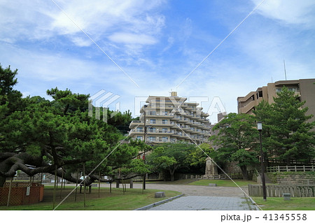 祇園之洲公園 41345558