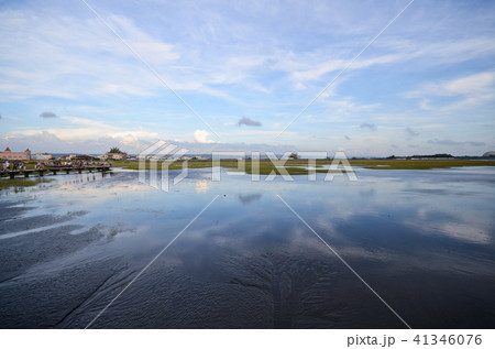 台中市 台中 湿原 41346076
