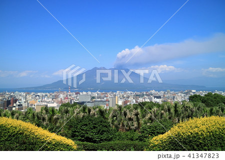 長島美術館から見る桜島と鹿児島市の街並み 41347823