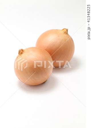 二個のたまねぎ、白バック 41348225