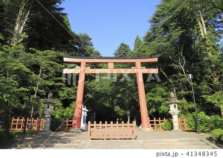 香取神宮　大鳥居　千葉県香取市 41348345