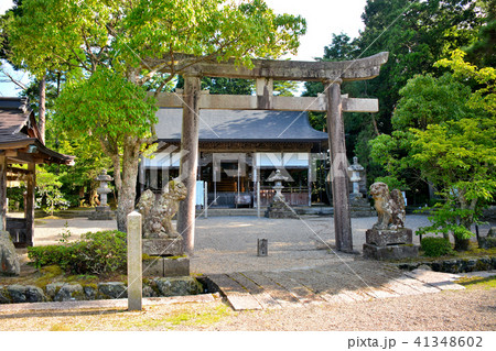 丹後半島・浦島神社・鳥居と拝殿（１） 41348602