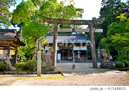 丹後半島・浦島神社・鳥居と拝殿(2) 丹後半島・浦島神社・鳥居と拝殿(2) 41348603