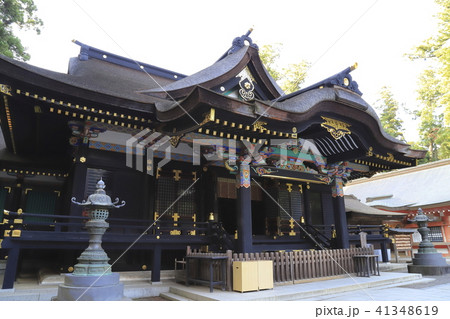 香取神宮　国の重要文化財　拝殿と本殿 41348619